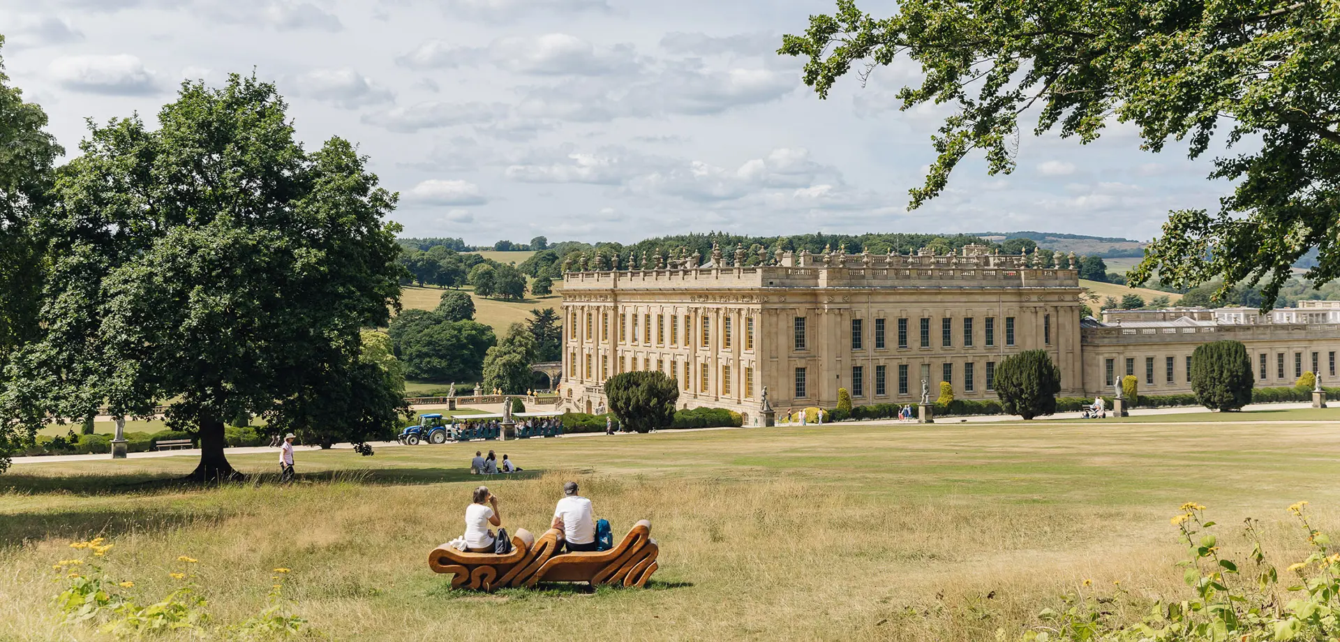 Terms and Conditions