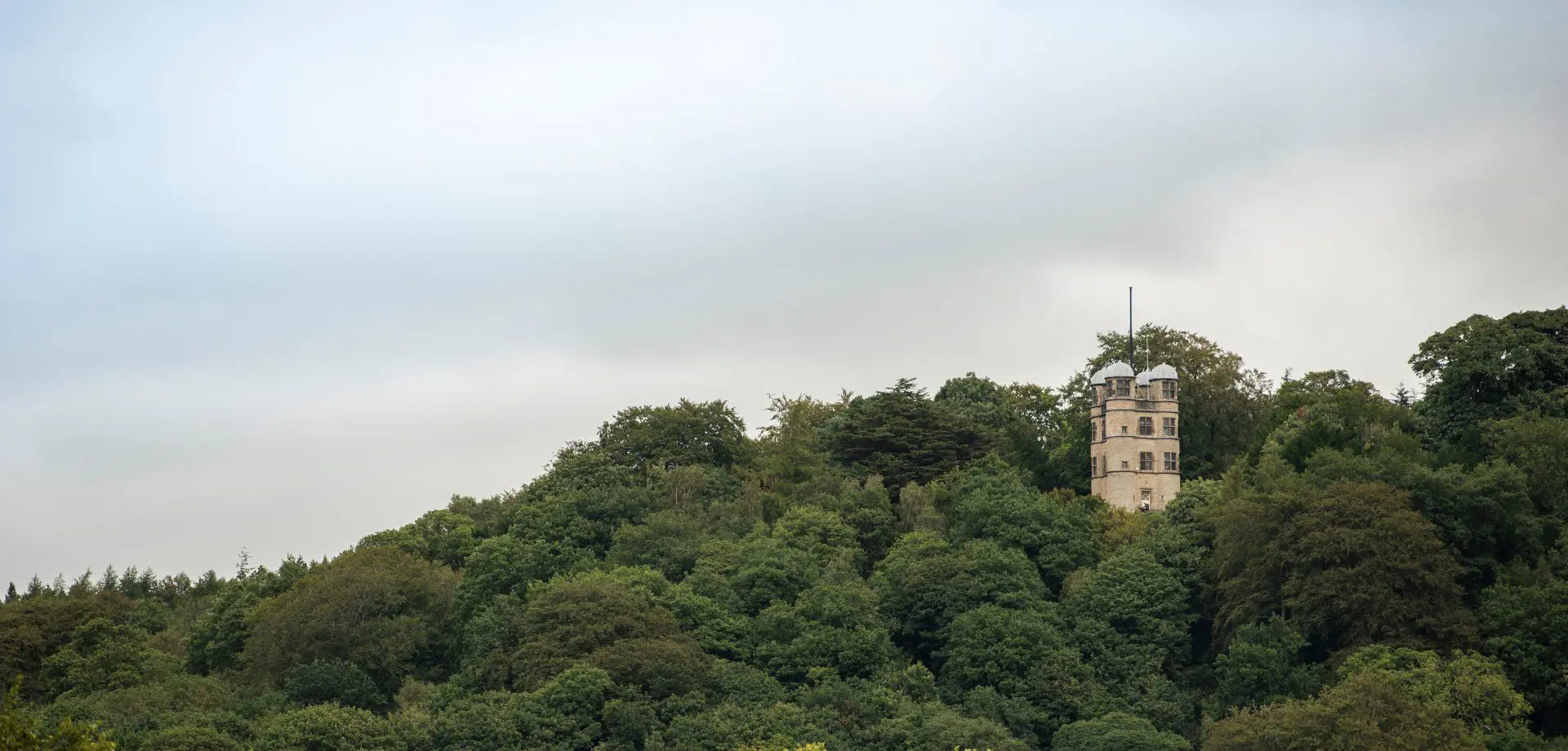 Landscape guardians: spring