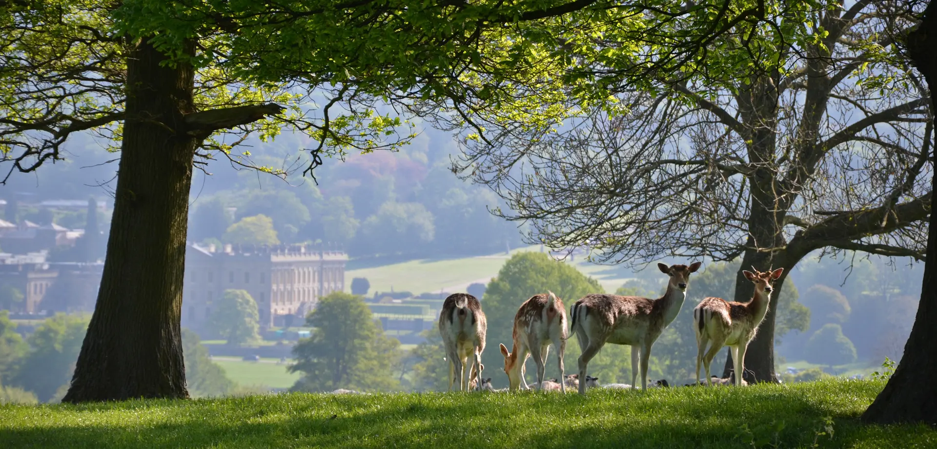Chatsworth Caravan Site