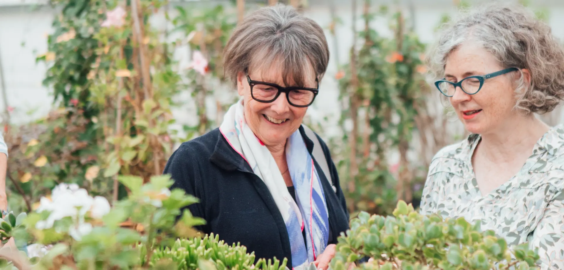 Upgrade to Friends Membership