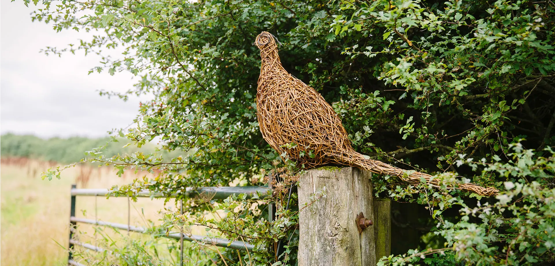 Pheasant Willow Weaving Masterclass