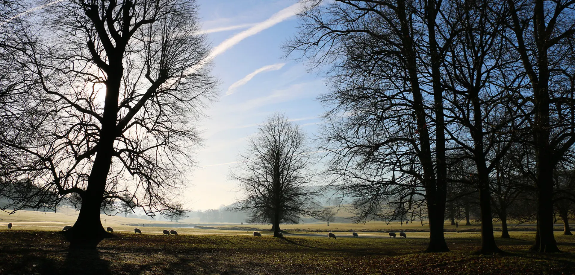 Winter at Chatsworth