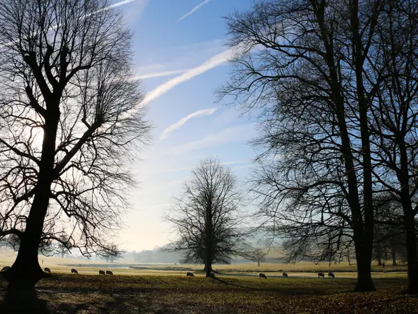 Winter at Chatsworth